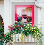 这样的窗户能让你家美